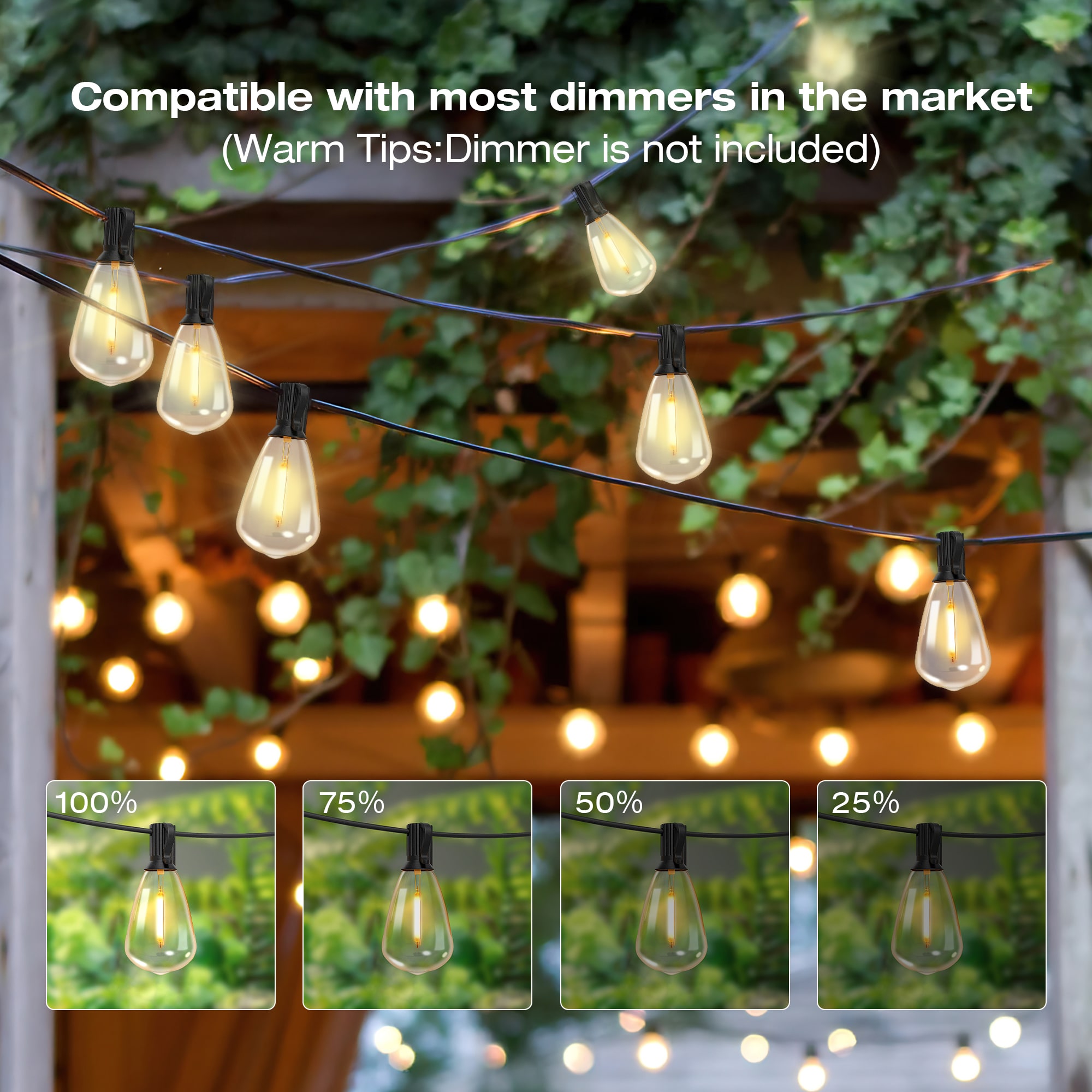 100ft Outdoor String Lights Wa - String Light Bistro review and price