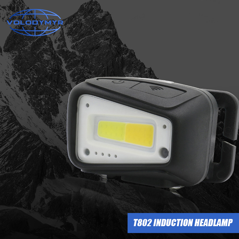 VOLODYMYR Waterproof COB LED H - Outdoor Lighting With Motion Sensor review and price