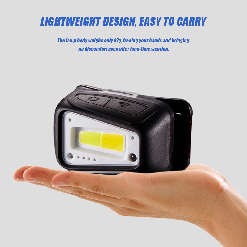 VOLODYMYR Waterproof COB LED H - Outdoor Lighting With Motion Sensor review and price